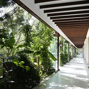 The Lifeco Bodrum Well-being Detox Center And Vegan (adults Only) Turkey